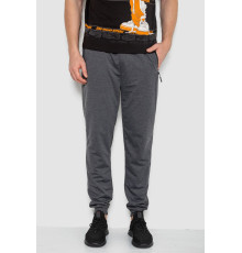 Спорт чоловічі штани, колір темно-сірий, 244R41285 Спорт чоловічі штани, колір темно-сірий, 244R41285