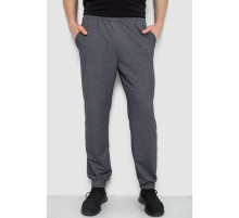 Спортивные штаны мужские, цвет темно-серый, 238R122-1