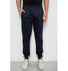 Спортивные штаны мужские, цвет темно-синий, 244R4779