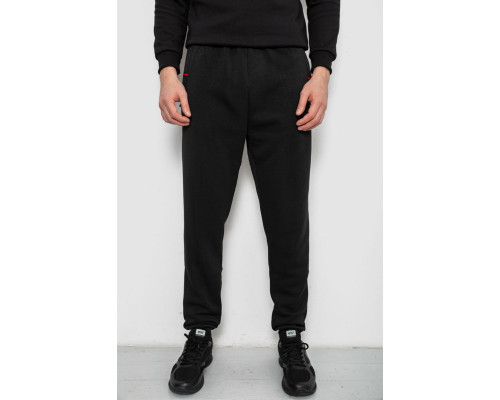 Спортивные штаны на флисе, цвет черный, 244R41526