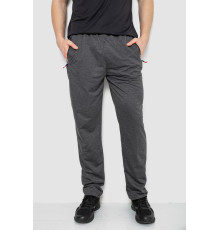 Спортивные штаны мужские, цвет темно-серый, 244R41734