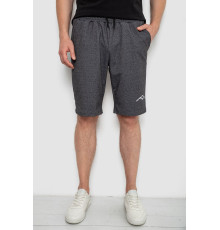 Шорты мужские, цвет грифельный, 241R16222