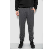 Спортивные штаны мужские, цвет серый, 244R434