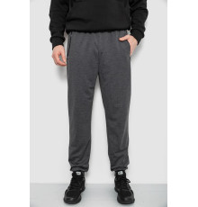 Спортивные штаны мужские, цвет серый, 244R434 Спортивные штаны мужские, цвет серый, 244R434