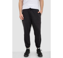 Спортивные мужские штаны демисезонные, цвет черный, 241R001-1