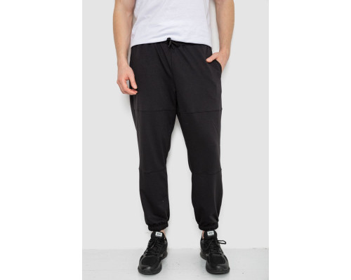 Спортивні штани чоловічі демісезонні, колір чорний, 241R001-1