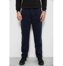 Спортивные штаны мужские на флисе, цвет синий, 244R41715