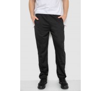 Спортивные штаны мужские, цвет черный, 244R41734