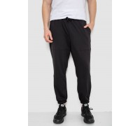 Спортивные мужские штаны демисезонные, цвет черный, 241R001-1