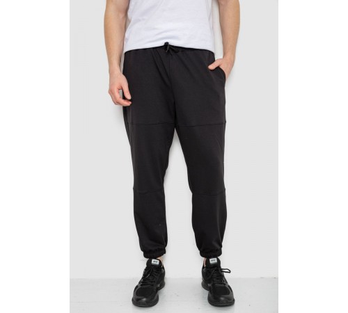 Спортивные мужские штаны демисезонные, цвет черный, 241R001-1
