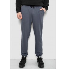 Спортивні штани чоловічі двонитка, колір сірий, 241R8003