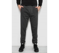 Спортивні штани чоловічі на флісі, колір сірий, 244R41553