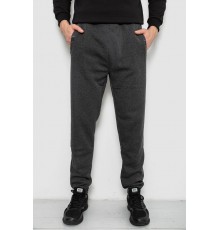 Спортивні штани чоловічі на флісі, колір сірий, 244R41553