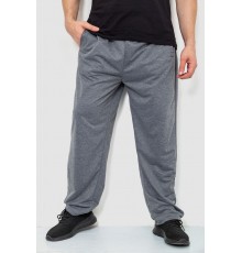 Спортивні штани чоловічі, колір сірий, 244R10018