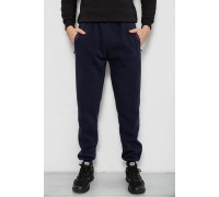 Спортивные штаны мужские на флисе, цвет синий, 244R41748