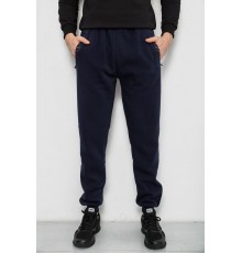 Спортивні штани чоловічі на флісі, колір синій, 244R41748