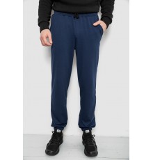 Спортивні штани чоловічі двонитка, колір темно-синій, 241R8003