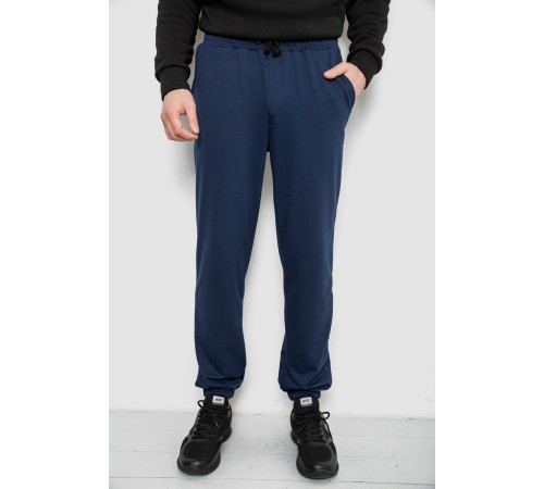 Спортивні штани чоловічі двонитка, колір темно-синій, 241R8003