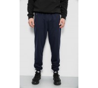 Спортивные штаны мужские, цвет синий, 244R434