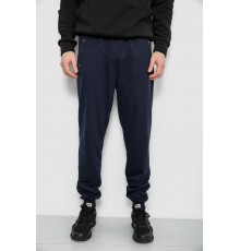 Спортивні штани чоловічі, колір синій, 244R434