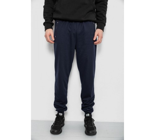 Спортивні штани чоловічі, колір синій, 244R434