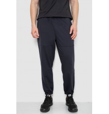 Спортивні штани чоловічі демісезонні, колір темно-синій, 241R001-1