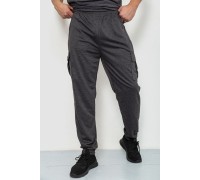 Спортивні чоловічі штани, колір темно-сірий, 244R41266