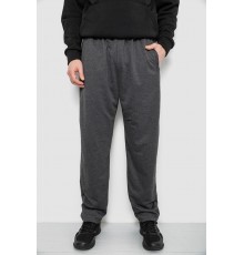 Спортивні штани чоловічі, колір сірий, 244R41399