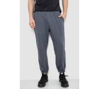 Спортивные мужские штаны демисезонные, цвет серый, 241R001-1