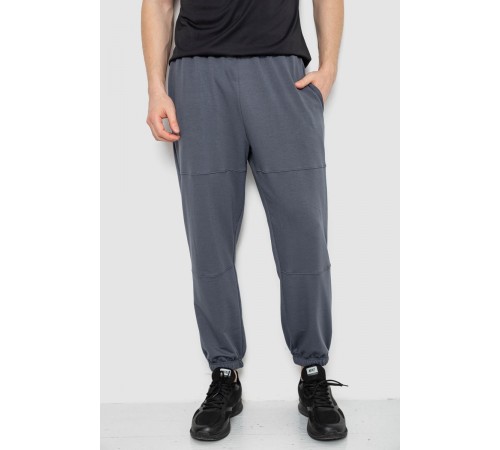 Спортивні штани чоловічі демісезонні, колір сірий, 241R001-1