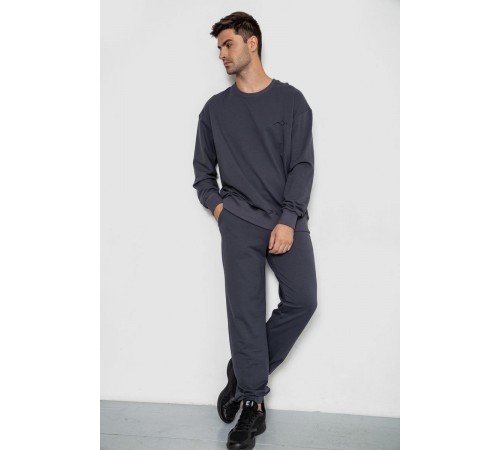 Спортивный демисезонный мужской костюм, цвет серый, 241R176