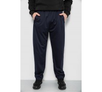 Спортивные штаны мужские, цвет синий, 244R41399