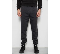 Спортивні штани чоловічі на флісі, колір сірий, 244R41526