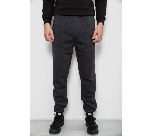 Спортивні штани чоловічі на флісі, колір сірий, 244R41526