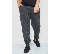 Спортивные штаны мужские, цвет темно-серый, 244R41206