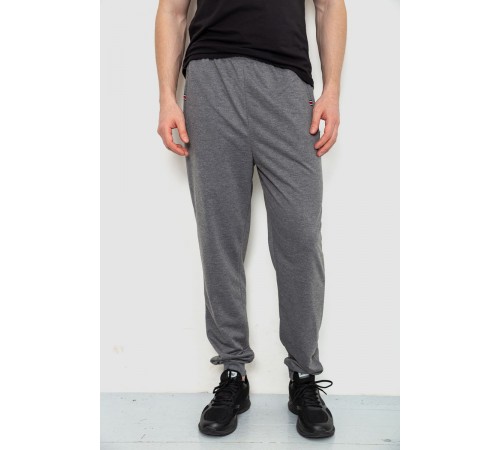 Спортивні штани чоловічі, колір сірий, 244R4770