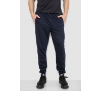 Спортивні штани чоловічі, колір темно-синій, 244R41512