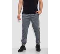 Спортивні штани чоловічі, колір сірий, 244R41512