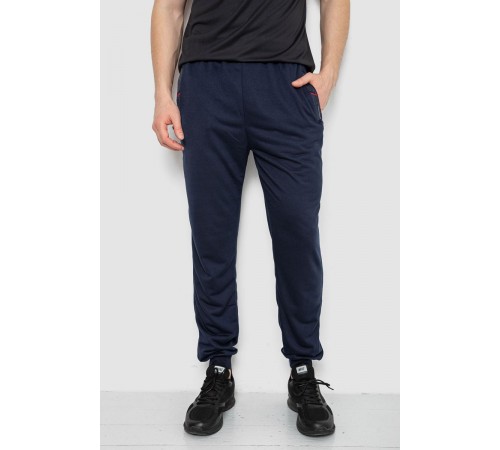 Спортивні штани чоловічі, колір темно-синій, 244R41669
