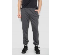 Спортивные штаны мужские, цвет темно-серый, 244R41669