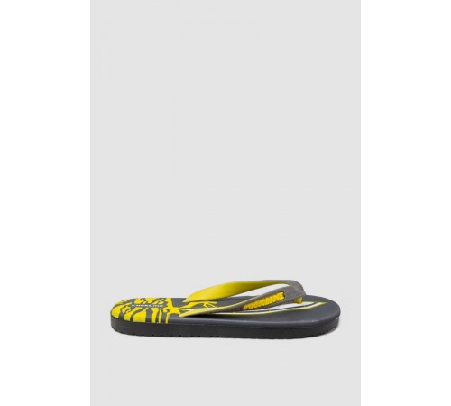 В'єтнамки жіночі, колір грифельно-жовтий, 243R2002L-2