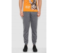 Спортивні штани чоловічі, колір сірий, 244R41236