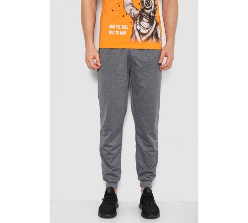 Спортивні штани чоловічі, колір сірий, 244R41236