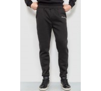 Спорт чоловічі штани на флісі, колір чорний, 238R56910