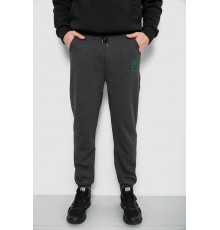 Спортивні штани чоловічі на флісі, колір грифельний, 129RA9995