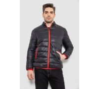 Куртка мужская демисезонная 244R616, цвет Черный