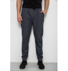 Спортивні штани чоловічі на флісі, колір сірий, 238R135