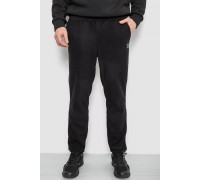 Спортивні штани чоловічі однотонні на поларфлісі, колір чорний, 257R21