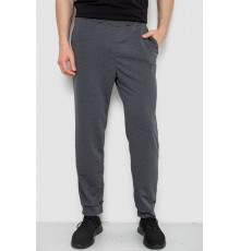 Спортивні штани чоловічі, колір сірий, 238R122