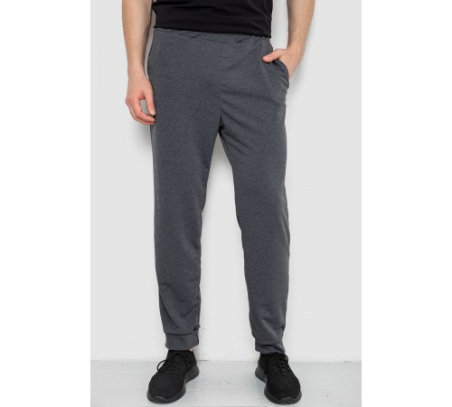 Спортивні штани чоловічі, колір сірий, 238R122